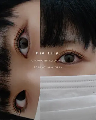 マツエク・マツパ ほたて /まつげの達人の眉毛・アイブロウイメージ