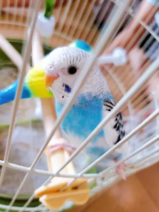 野口 晶子のエステ・リラクイメージ