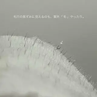 HBLaward受賞 KANAの眉毛・アイブロウイメージ