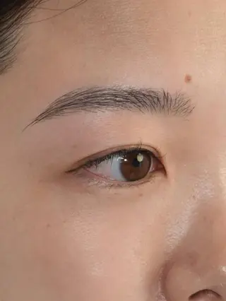 アイブロウ 骨格美眉ブロウリスト SHOKOの眉毛・アイブロウイメージ