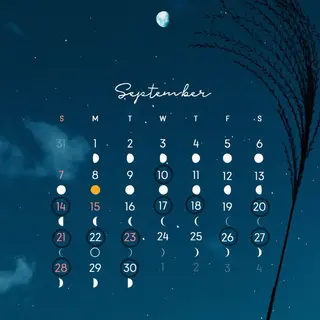 🌿ヘッドスパ🌿‬ 星沙那梨のエステ・リラクイメージ