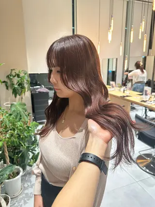 セミロング カラー ミオ💎透ける暗髪 ショートカットのヘアスタイル