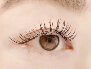 マツエク・マツパ eyelash "Koa"🕊🤎のマツエク・マツパデザイン