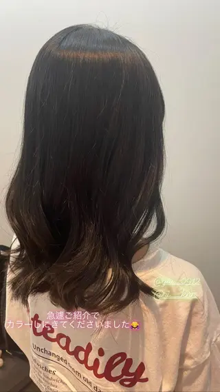 セミロング カラー ショート/脱白髪染め ☆宇﨑悠実のヘアスタイル