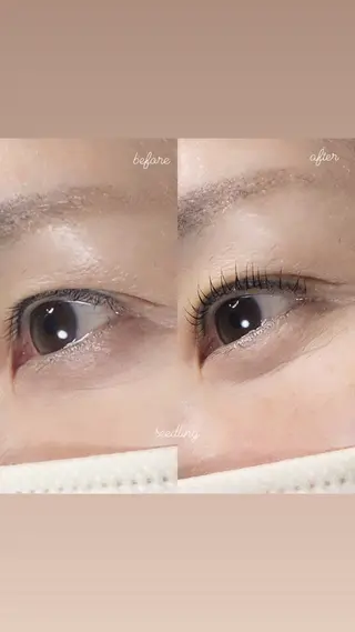 マツエク・マツパ シードリン 府内店 杉田のマツエク・マツパデザイン