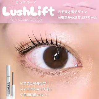 マツエク・マツパ 【ダメージケア特化】 🌸 サクララッシュの眉毛・アイブロウイメージ