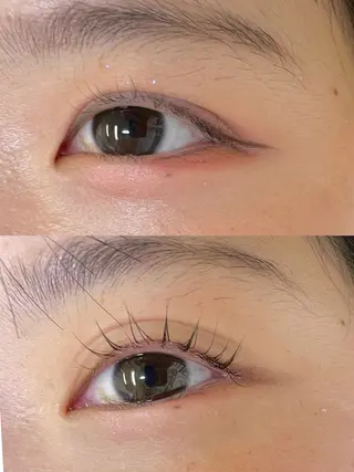 マツエク・マツパ lemmy タニフジのマツエク・マツパデザイン