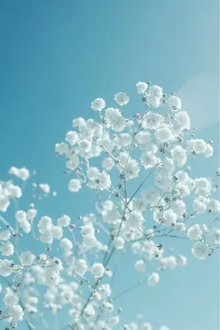 マツエク・マツパ 🌙 ａｓｕｋa 🫧のマツエク・マツパデザイン