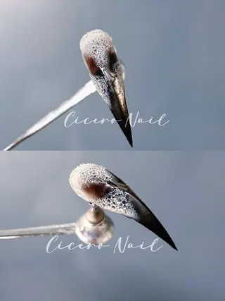 ネイル Ciceronail Soraのネイルデザイン