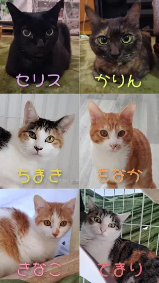 BARON オーナーセラピストのエステ・リラクイメージ