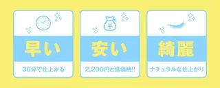 マツエク・マツパ Plumeria Lash 越谷店のマツエク・マツパデザイン