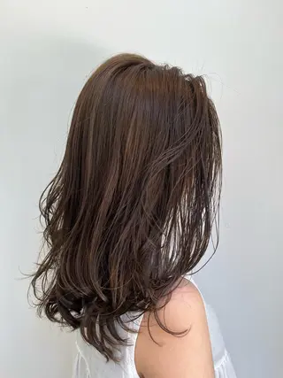 セミロング 脱白髪染め/大人ハイ ライト/田中佑季のヘアスタイル