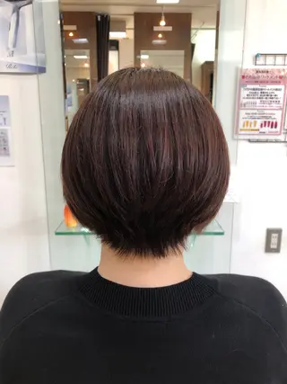 ショート カラー 根岸 真奈美のヘアスタイル