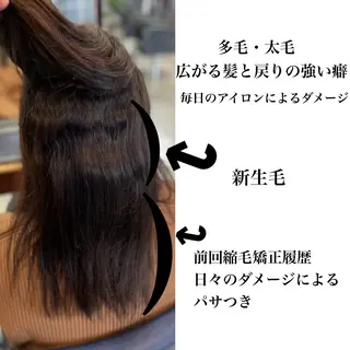 ミディアム カラー パーマ ヘアアレンジ 美髪矯正 Rioのヘアスタイル