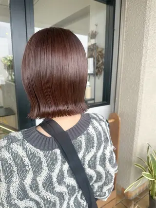 ショート カラー 菅原 彩加のヘアスタイル