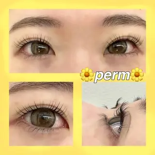 マツエク・マツパ 柏倉 茉依のマツエク・マツパデザイン