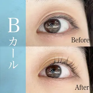 マツエク・マツパ まつげパーマ専門店 シャルナ　上野店のマツエク・マツパデザイン