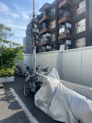 マツエク・マツパ 杉野 美紅のマツエク・マツパデザイン