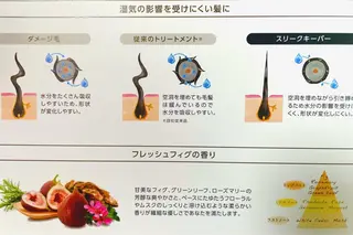 セミロング カラー Connect Rumiのヘアスタイル