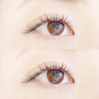 マツエク・マツパ eyelash "Koa"🕊🤎のマツエク・マツパデザイン