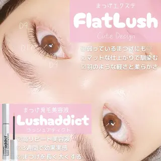 マツエク・マツパ 【ダメージケア特化】 🌸 サクララッシュの眉毛・アイブロウイメージ
