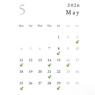 airRe moeのマツエク・マツパデザイン