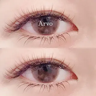 マツエク・マツパ arvo新潟万代店 木村のマツエク・マツパデザイン