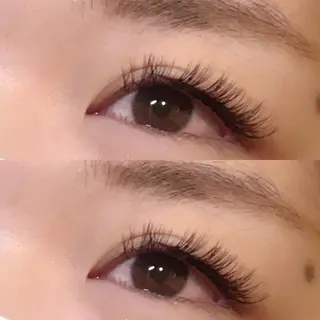 マツエク・マツパ 【ダメージケア特化】 🌸 サクララッシュの眉毛・アイブロウイメージ