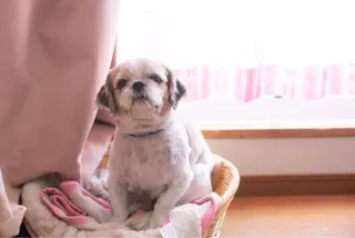 ❤︎MN❤︎ モンのエステ・リラクイメージ