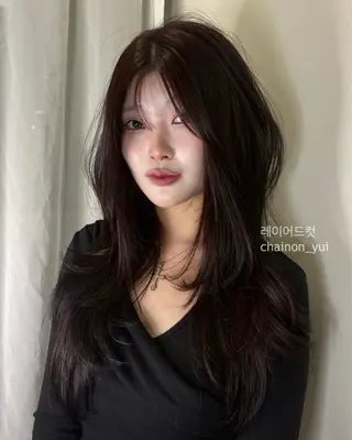 ロング YUI レイヤー/韓国ヘアのヘアスタイル