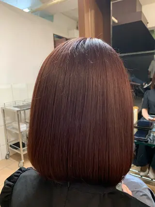 ショート カラー 菅野 美咲のヘアスタイル