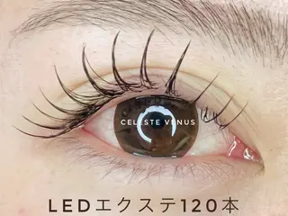 マツエク・マツパ 🧸Celeste Venusのマツエク・マツパデザイン