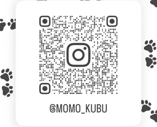 🍑Kubu🍀 Momo🍑のヘアスタイル