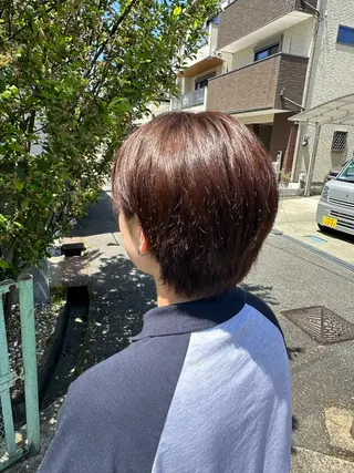 ショート カラー 安達 望のヘアスタイル
