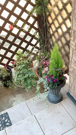 Nakamura Atsukoの眉毛・アイブロウイメージ