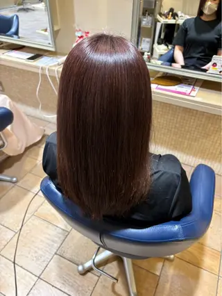 セミロング 藤本 早耶のヘアスタイル