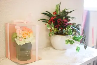 マツエク・マツパ chelien 下赤塚のマツエク・マツパデザイン