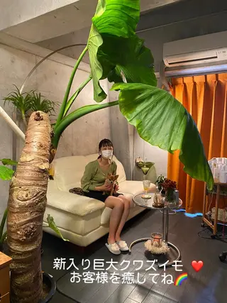 毛穴から始める肌メン テマンダリンオレンジのエステ・リラクイメージ