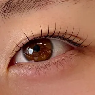 マツエク・マツパ 【一重┊︎奥二重】 YOSHIDA🌙のマツエク・マツパデザイン