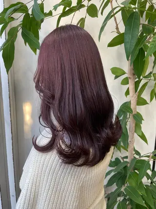 ミディアム カラー 🫧ハイトーン/ ブリーチ🫧白石航汰のヘアスタイル