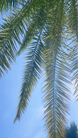 𝐘𝐎𝐒𝐇𝐈 𝐌𝐈🌞🏝のマツエク・マツパデザイン