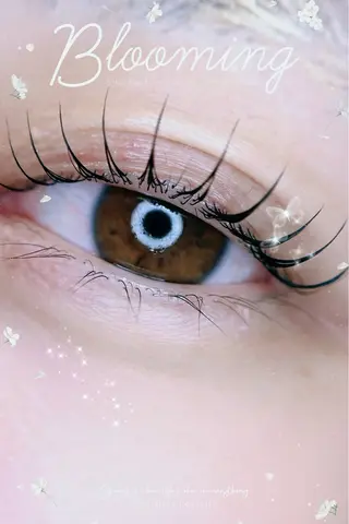 マツエク・マツパ 🎀eyelist. mizuki🐈‍⬛の眉毛・アイブロウイメージ
