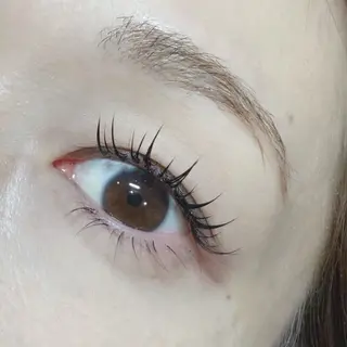 マツエク・マツパ 🌸アイリスト fujiwara🌸のマツエク・マツパデザイン