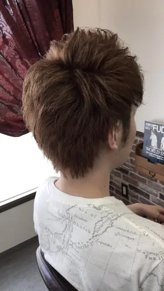 ショート カラー メンズ hairsolon Geminiのヘアスタイル