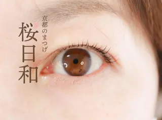 マツエク・マツパ 京都のまつげ桜日和 小島美桜のマツエク・マツパデザイン