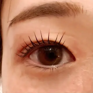 マツエク・マツパ 🧸Celeste Venusのマツエク・マツパデザイン