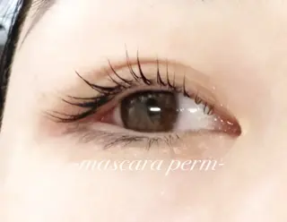 マツエク・マツパ alushe 平井店 Noriko‪‪のマツエク・マツパデザイン