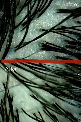 ✨デトックス職人✨ To-Hiらぼのヘアスタイル