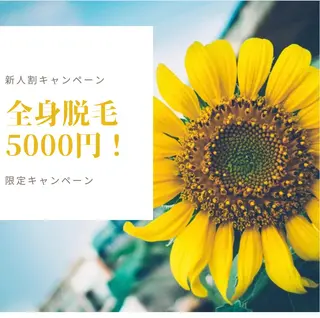 CHERIMO シェリモのネイルデザイン
