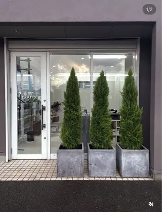 nouty所属・工藤 華姫のヘアスタイル